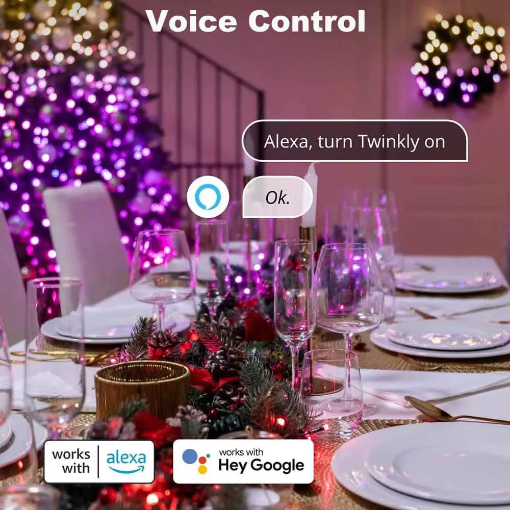 WiFi Christmas Smart RGBIC Pixel String Light 5/10/20M With Remote